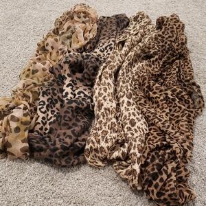 Bundle of Leopard Print Scarves